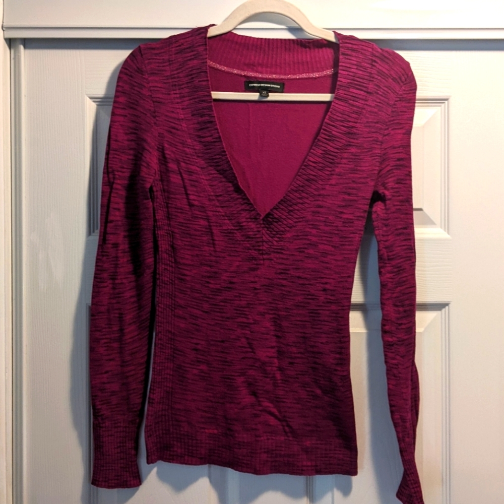Express Design Studio V Neck Lightweight Sweater